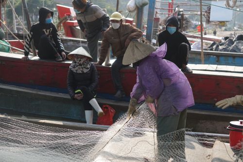 Tàu thuyền dè dặt ra khơi, thủy hải sản khan hiếm, tăng giá