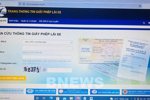 Đề xuất xử lý các trang web giả mạo cấp giấy phép lái xe