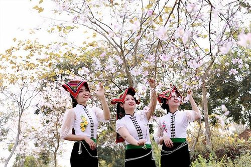 Yên Bái: Tháng Ba Nghĩa Lộ, trắng trời hoa ban