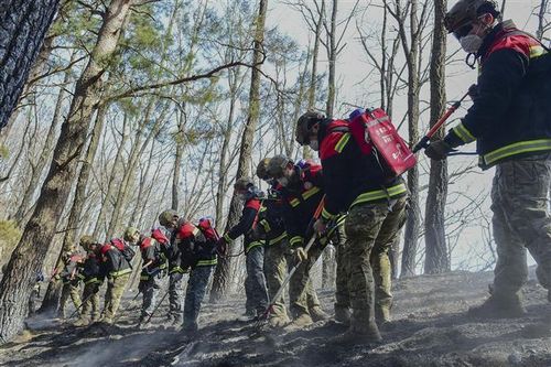 Hàn Quốc: Gần 24.000 héc ta rừng bị thiêu trụi