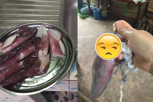 Hí hửng làm thịt mực, thanh niên chưng hửng khi thấy 'quà khuyến mãi' đính kèm