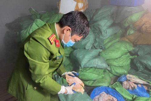 Cần nghiêm trị những kẻ buôn bán thực phẩm bẩn