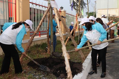 Phát động mỗi gia đình hội viên phụ nữ trồng một cây xanh
