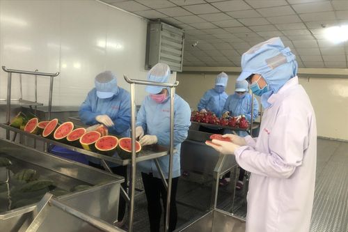 Vướng chiến sự Nga-Ukraine: Doanh nghiệp Việt chuyển hướng thị trường