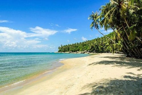 Du lịch Côn Đảo có những gì?