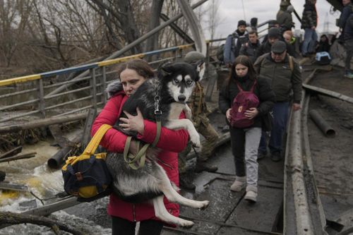 Hình ảnh người dân Ukraine quyết không bỏ lại thú cưng ở phía sau