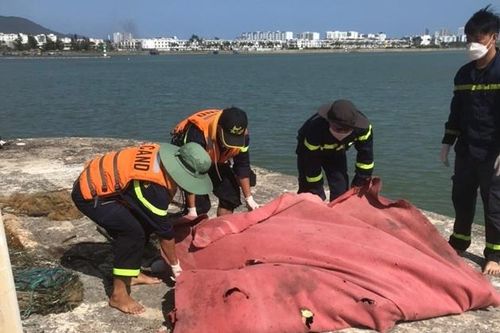 Phát hiện cùng lúc hai thi thể dưới chân cầu Thuận Phước