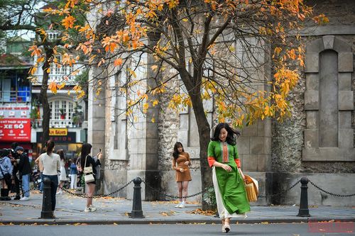 Hà Nội đẹp nao lòng mùa lá rụng tháng 3