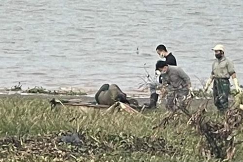 Đã xác định được danh tính thi thể bị trói chân tay trôi trên biển