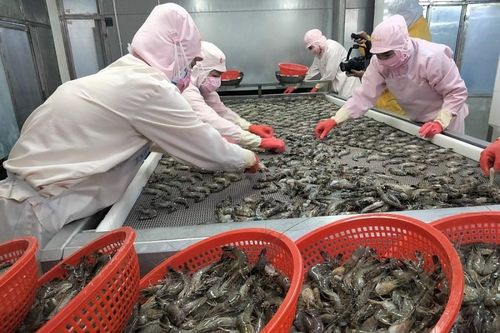 Xuất khẩu thủy sản tiếp tục tăng mạnh tại các thị trường có FTA