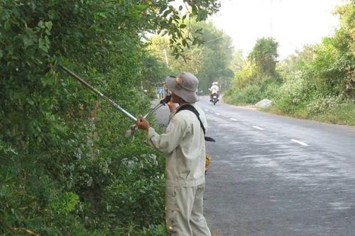 Kiểm tra việc khắc phục công trình xây dựng trái phép trong phạm vi đất dành cho đường bộ