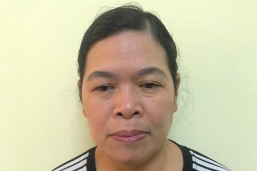 Nữ giáo viên tiểu học lừa đảo gần 2 tỷ đồng