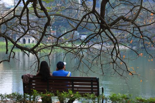 Hà Nội lãng mạn quyến rũ trong mùa lộc vừng thay lá
