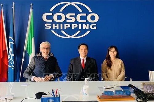 Tham tán thương mại VN ở Italy nói về điểm bất thường trong nghi án lừa 100 container điều