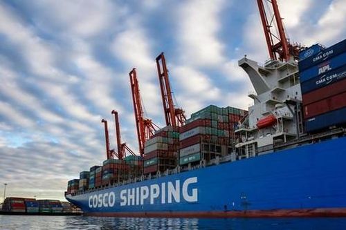 Đề nghị Bộ Công an phối hợp với Interpol điều tra vụ 36 lô điều nguy cơ mất trắng
