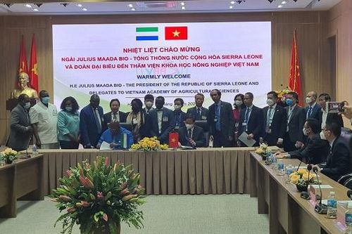 Phái đoàn Tổng thống Cộng hòa Sierra Leone thăm và ký kết hợp tác với Viện Khoa học Nông nghiệp Việt Nam