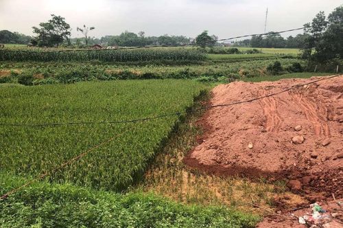 Chuyển mục đích sử dụng đất 4 tỉnh Thái Nguyên, Cao Bằng, Bình Thuận, Bắc Giang