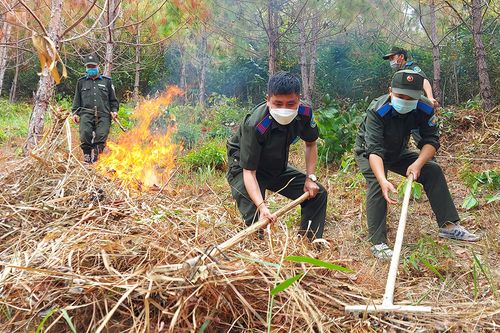 Căng mình canh 'giặc lửa'
