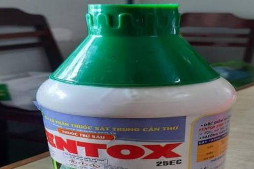 Cha pha thuốc trừ sâu vào nước ngọt cho con uống