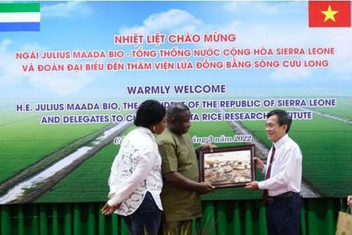 Tổng thống Cộng hòa Sierra Leone cùng phu nhân thăm và làm việc tại An Giang, Cần Thơ