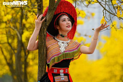 Đường hoa phong linh và những địa điểm check in sống ảo hút giới trẻ Hà Nội