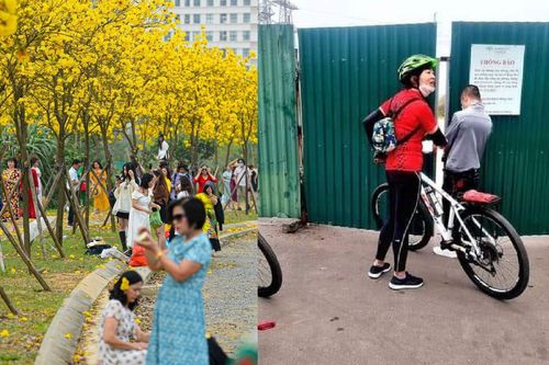 Hà Nội: Đường hoa phong linh dừng đón khách, nhiều người ngậm ngùi quay về