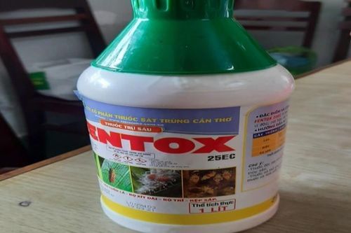 Bố pha nước ngọt với thuốc sâu rồi bảo con 6 tuổi uống