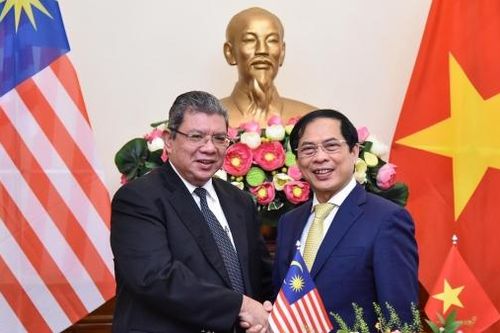 Thống nhất định hướng lớn cho hoạt động kỷ niệm 50 năm quan hệ ngoại giao Việt Nam-Malaysia