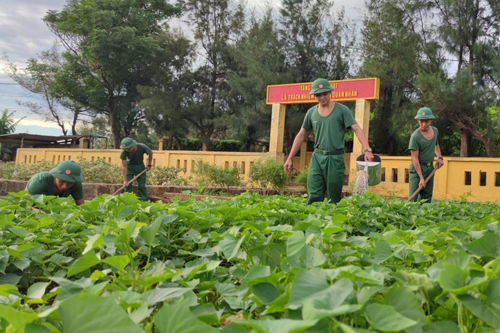 'Thực túc' trên đảo Cồn Cỏ