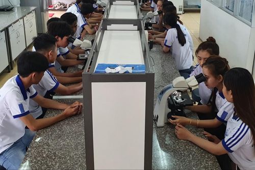 Tạo sức hút tuyển sinh bằng chương trình đào tạo chất lượng cao