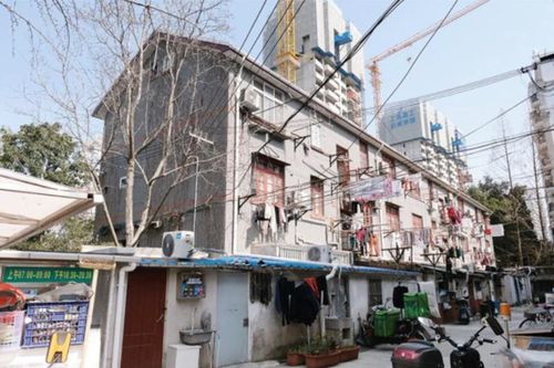 Oán hận trong căn hộ 24m2