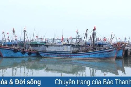 Cảng cá Lạch Hới trầm lắng