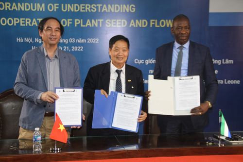 Triển vọng hợp tác Việt Nam - Sierra Leone trong lĩnh vực nông nghiệp và phát triển nông thôn