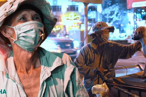 Câu chuyện đẹp về ông lão ve chai kiếm tiền nuôi những chú chó 'mồ côi'