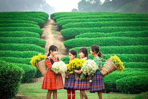 Phát triển du lịch theo hướng tăng trưởng xanh vùng Tây Bắc