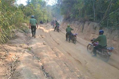 Bắt nhân viên quản lý, bảo vệ rừng nhận hối lộ của lâm tặc