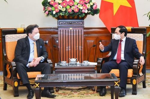 Bộ trưởng Ngoại giao Bùi Thanh Sơn tiếp xã giao Đại sứ Hoa Kỳ tại Việt Nam Marc Knapper