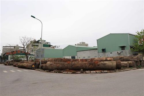 Sai phạm ở Từ Sơn: Bắc Ninh tạm giam Phó Giám đốc Sở Tài chính