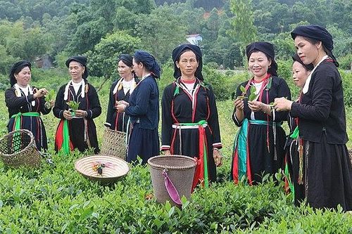 Thái Nguyên hỗ trợ đồng bào dân tộc phát triển kinh tế, cải thiện cuộc sống
