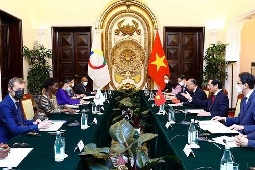 Việt Nam coi trọng hợp tác trong Cộng đồng Pháp ngữ