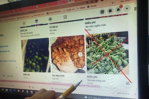 'Chiêu' bán quả thuốc phiện trên mạng