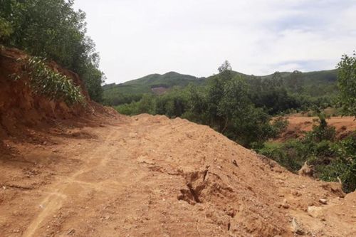 Bình Phước: Các địa phương mạnh tay xử lý những vi phạm liên quan đến đất nông nghiệp
