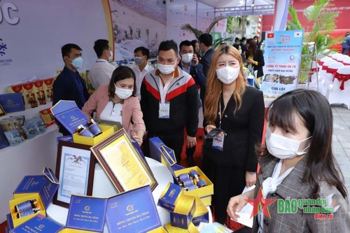 Hội nghị gặp gỡ Hàn Quốc: Thiết lập quan hệ ngoại giao, thúc đẩy hợp tác chiến lược lên tầm cao mới