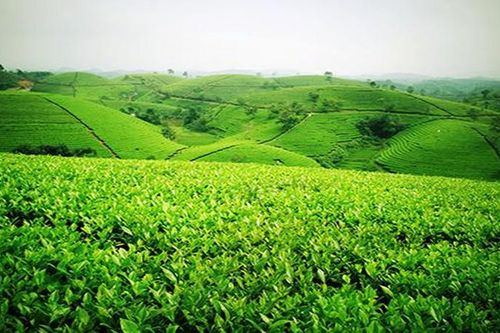 Mù Cang Chải đẩy mạnh phát triển sản phẩm OCOP của đồng bào các dân tộc vùng xa