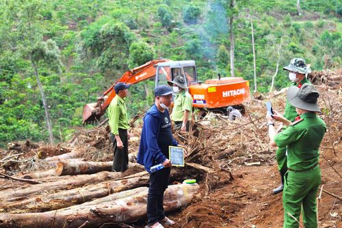 Khám nghiệm hiện trường vụ triệt hạ hàng chục nghìn m2 rừng bằng cưa xăng, xe cơ giới
