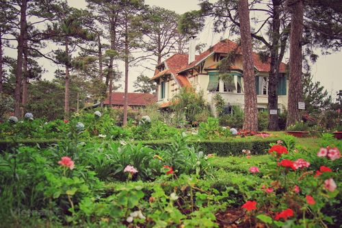 Đà Lạt níu chân du khách với những sắc hoa rực rỡ sắc màu
