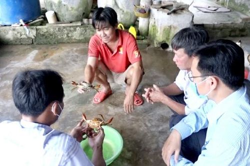 Cà Mau: Đã xác định được nguyên nhân cua chết hàng loạt trên diện rộng