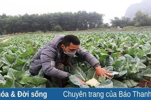 Chàng trai 9x đánh thức vùng đất Hạc Sơn