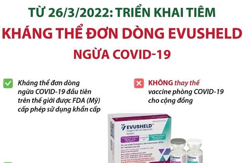 Triển khai tiêm kháng thể đơn dòng Evusheld ngừa COVID-19 từ ngày 26/3