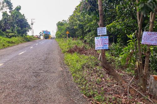 Giá đất ở Mã Đà tăng từng ngày